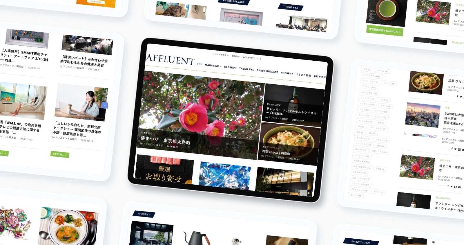AFFLUENT WEB